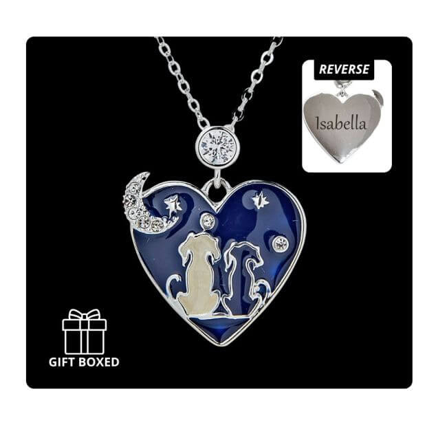 Personalised Stargazing Dogs Necklace