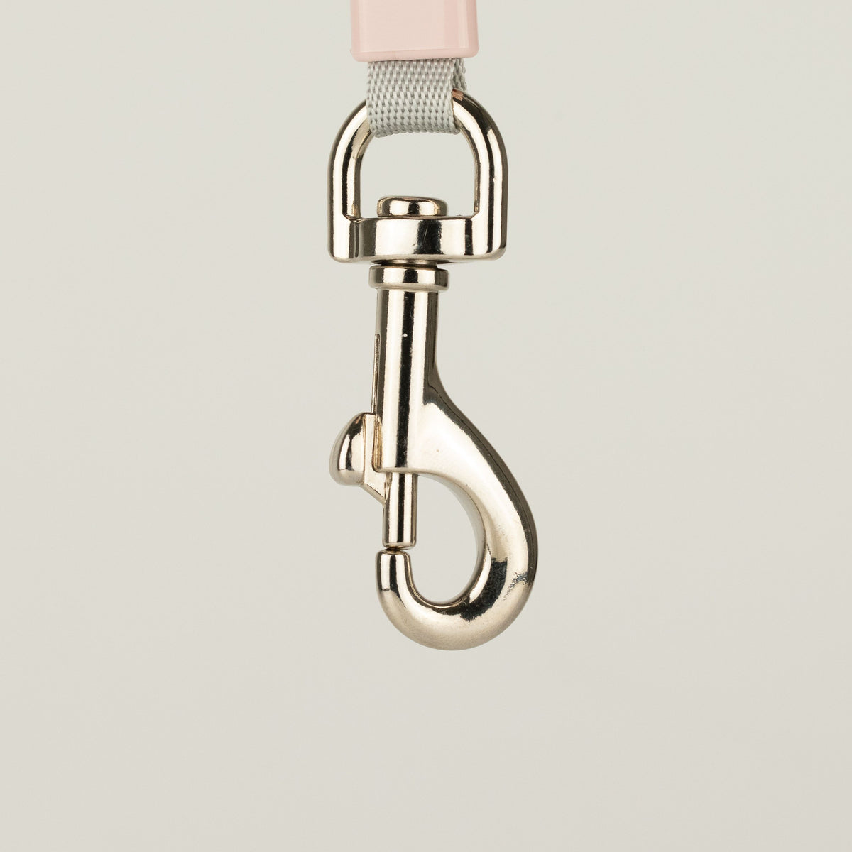 Green Retractable Dog Lead