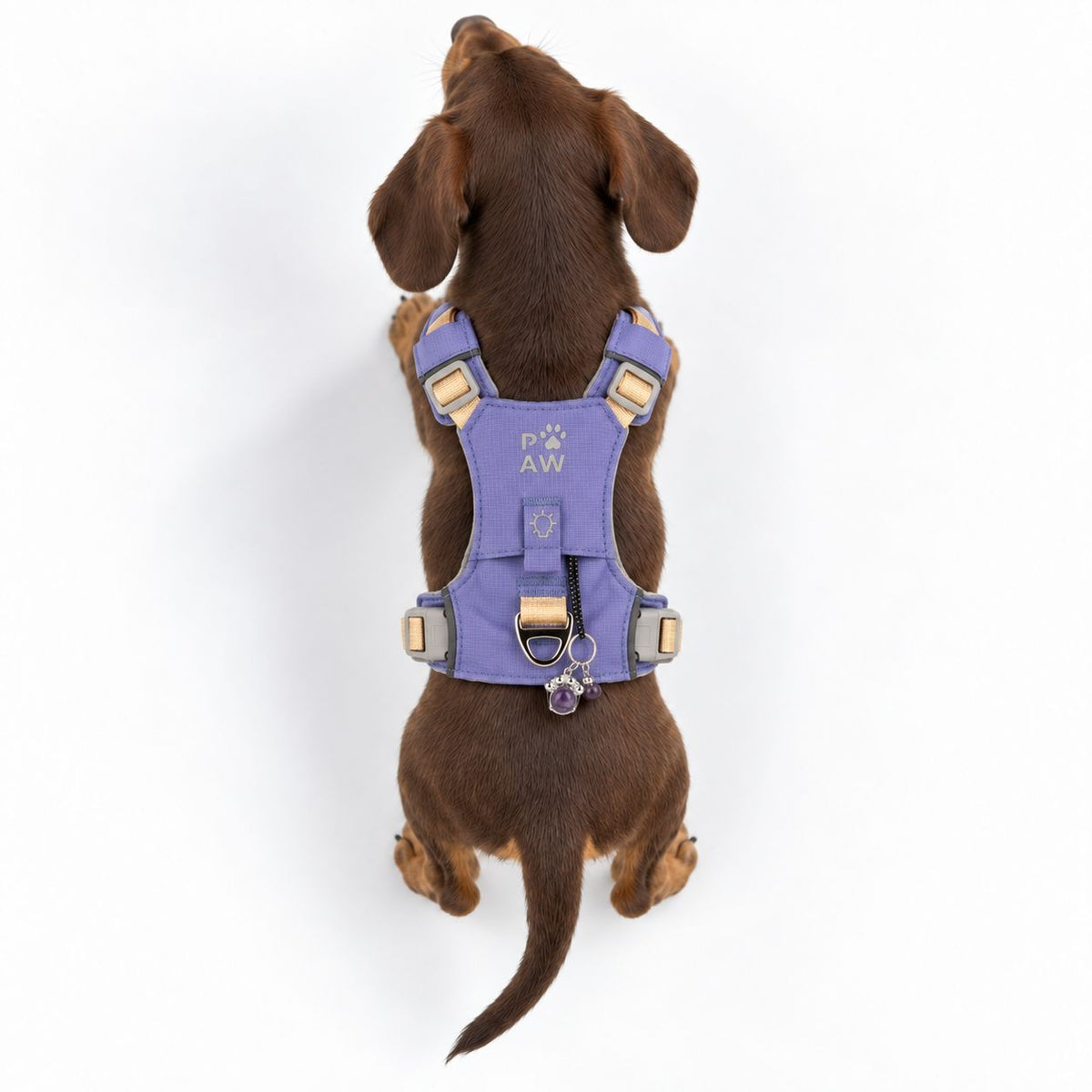 Lavender Amethyst Reflective Dog Harness XS