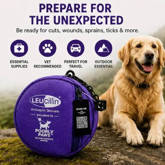 Leucillin & Poorly Paws Dog First Aid Kit