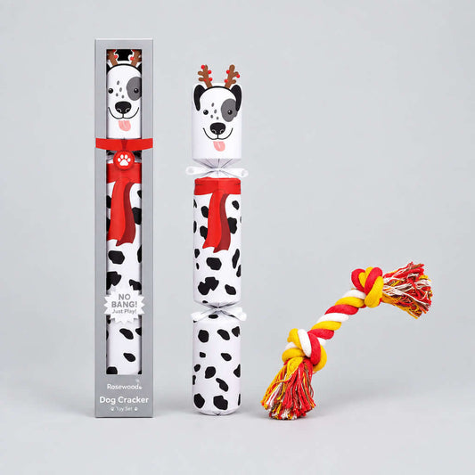 Dog Christmas Cracker