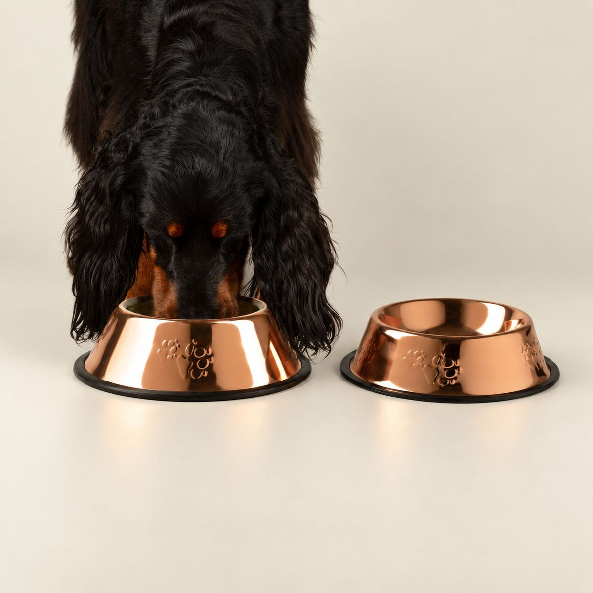 Copper Style Stainless Steel Dog Bowl with Paw Prints 22cm