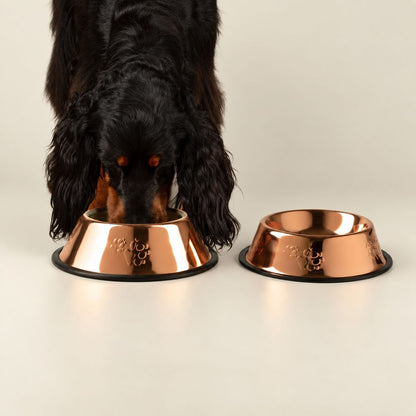 Copper Style Stainless Steel Dog Bowl with Paw Prints 22cm
