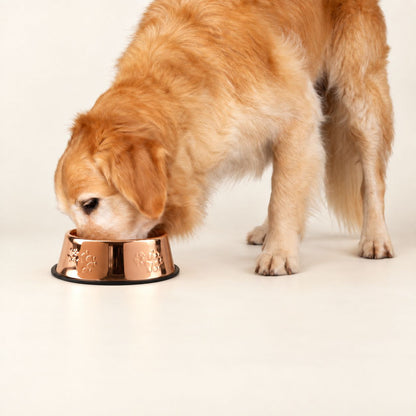 Copper Style Stainless Steel Dog Bowl with Paw Prints 22cm