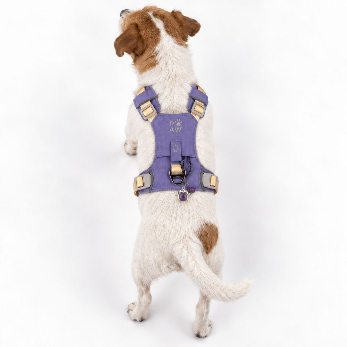 Lavender Amethyst Reflective Dog Harness S