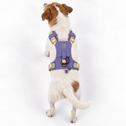 Lavender Amethyst Reflective Dog Harness S