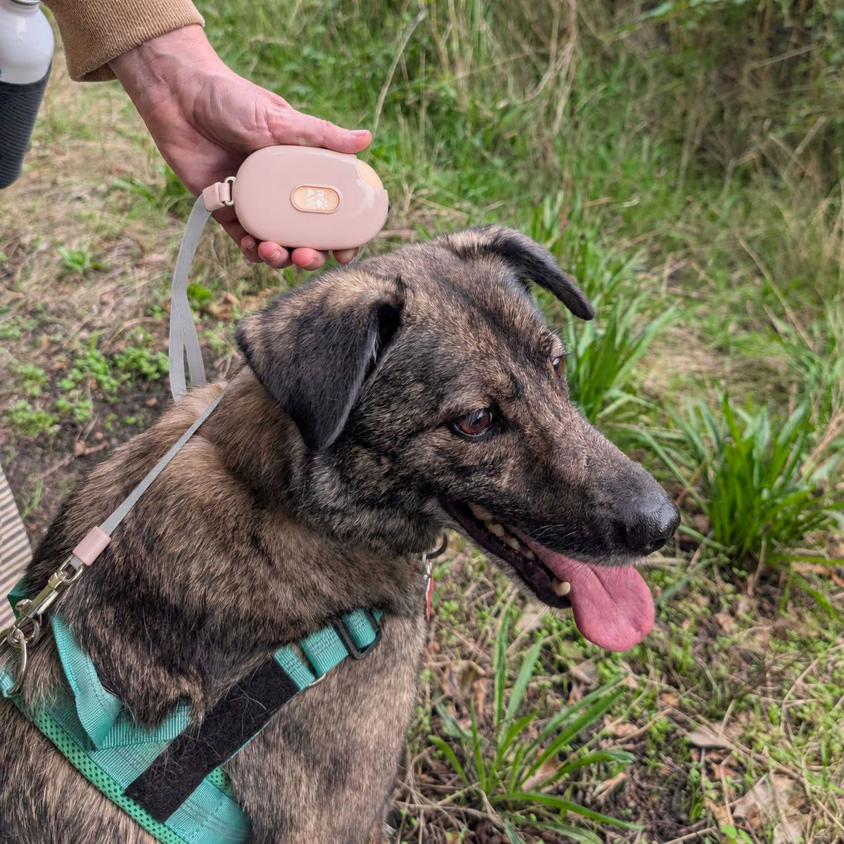 Soft Pink Retractable Dog Lead