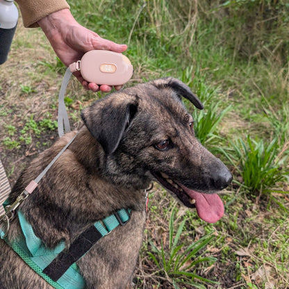 Soft Pink Retractable Dog Lead