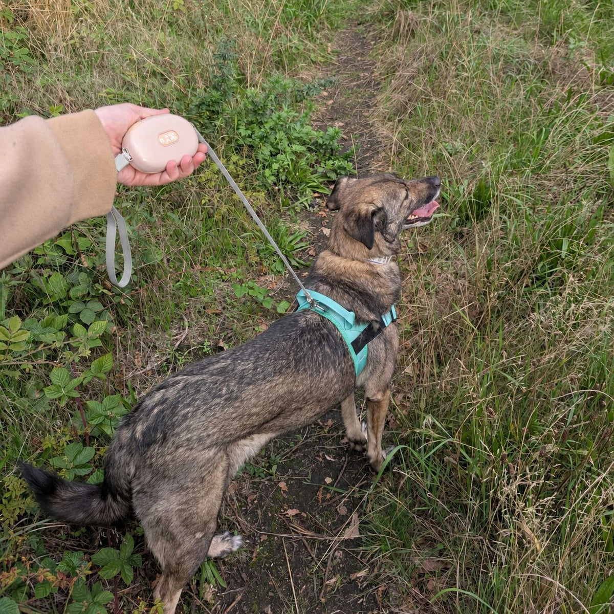 Soft Pink Retractable Dog Lead