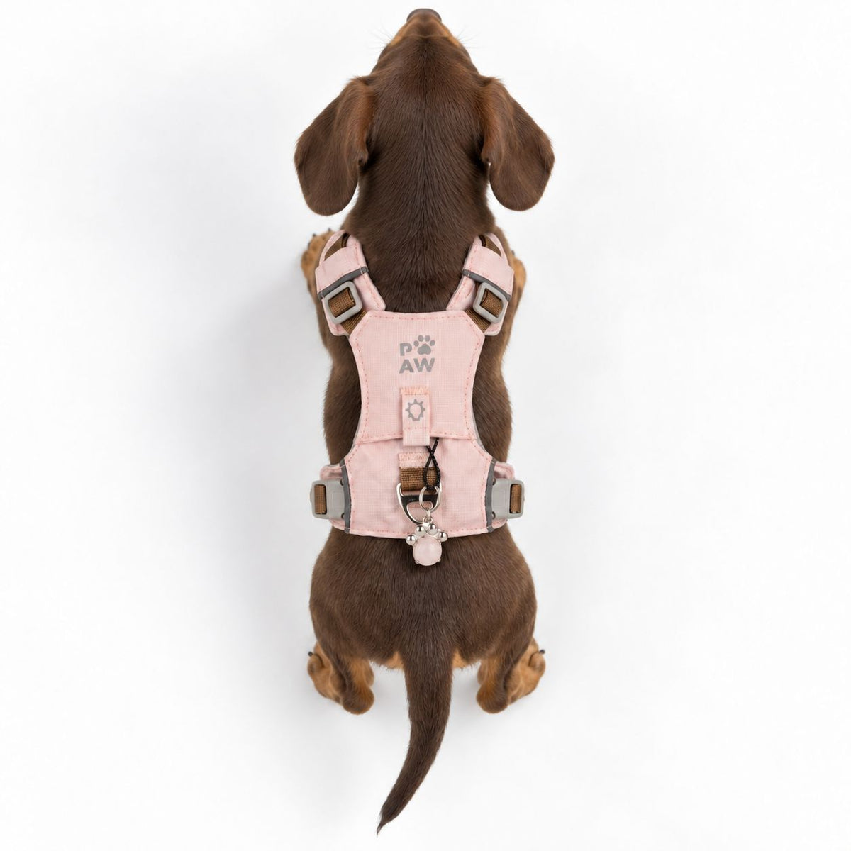 Soft Pink Rose Quartz Reflective Dog Harness XS