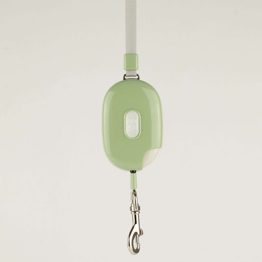 Green Retractable Dog Lead