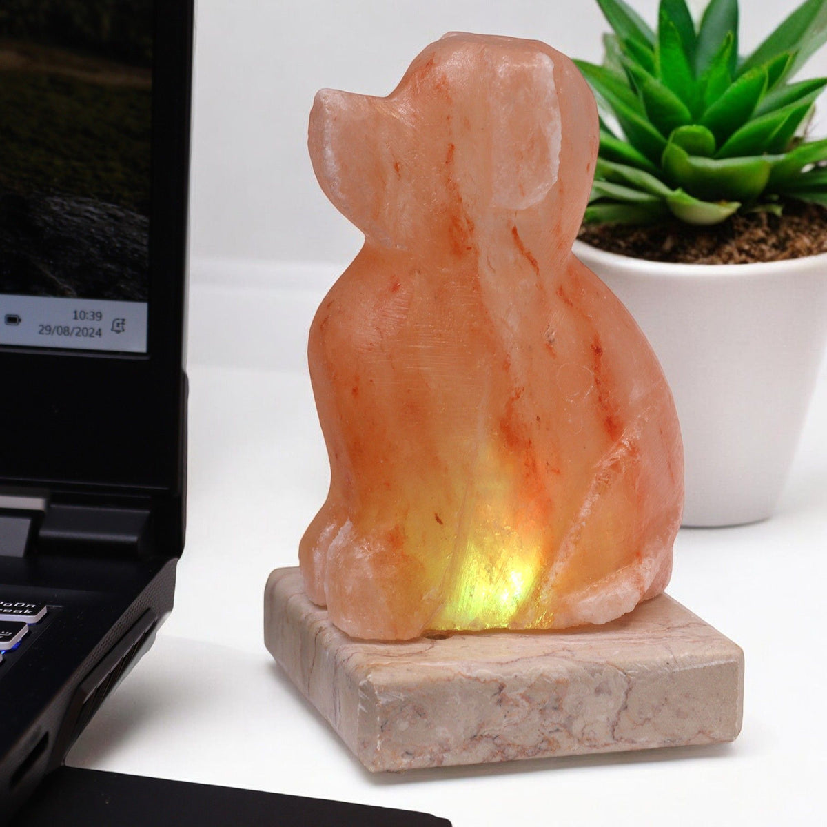 Dog Shaped Himalayan Salt Lamp