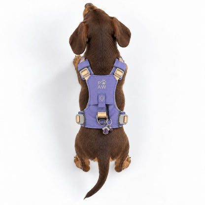 Lavender Amethyst Reflective Dog Harness XS