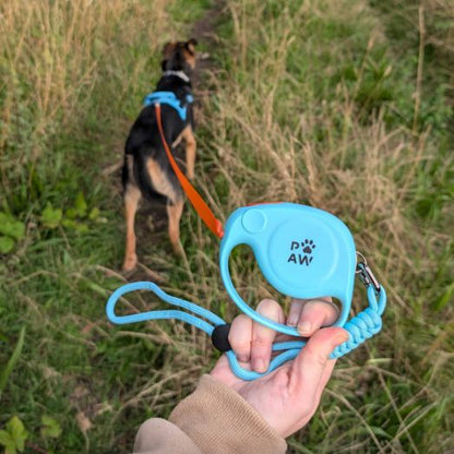 Blue Retractable Dog Lead